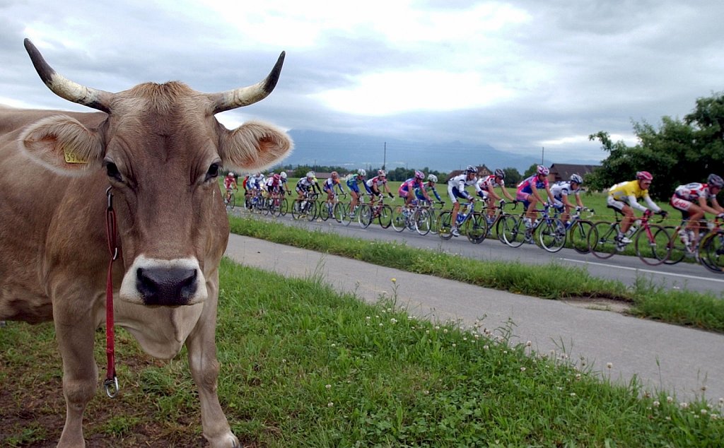 Tour de Suisse